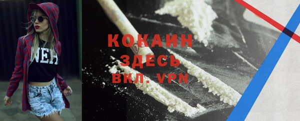 эйфоретик Дмитриев