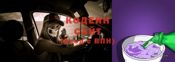 эйфоретик Дмитриев