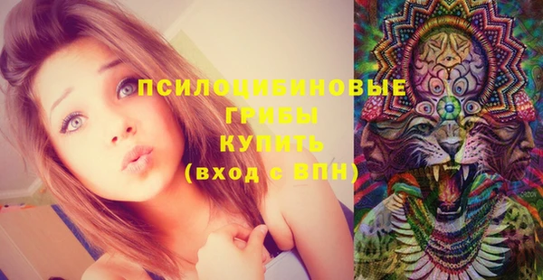 синтетический гашиш Дмитров
