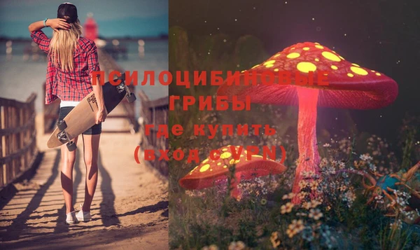 эйфоретик Дмитриев