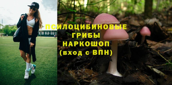 марки lsd Дмитровск